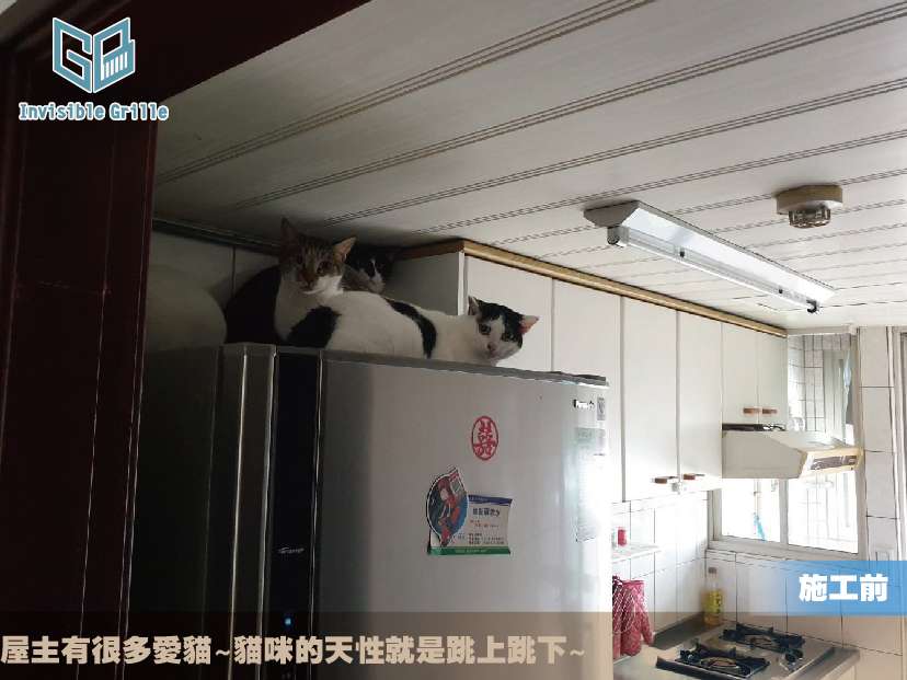 貓咪除了貓跳台也會跳上陽台呢